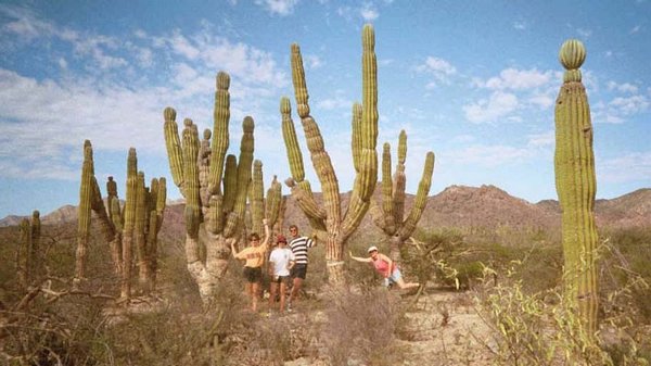 41 At the cactus forest 1.jpg