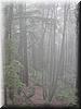 2002-04-06e Misty Mountains.jpg