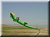 2002-07-13b Launching the lizard.jpg