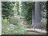 2002-09-14f The great single track along Paige Meadows.JPG
