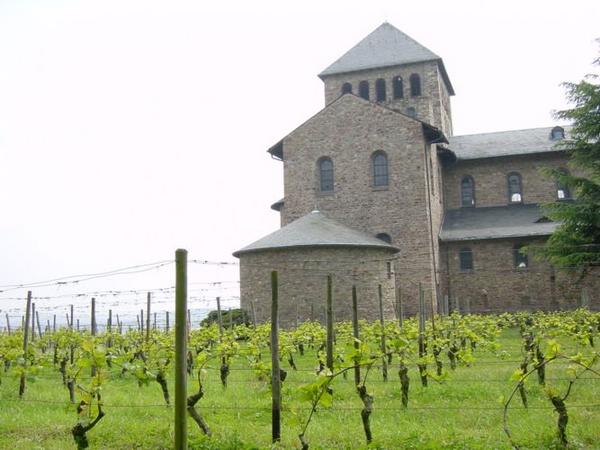 2004-05-15e Vineyards.JPG
