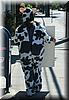 2004-08-01a Street Cow.jpg