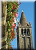 2004-11-21i Flowers and Tower.jpg