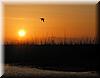 Best Photo 091 - Shoreline Sunset.JPG