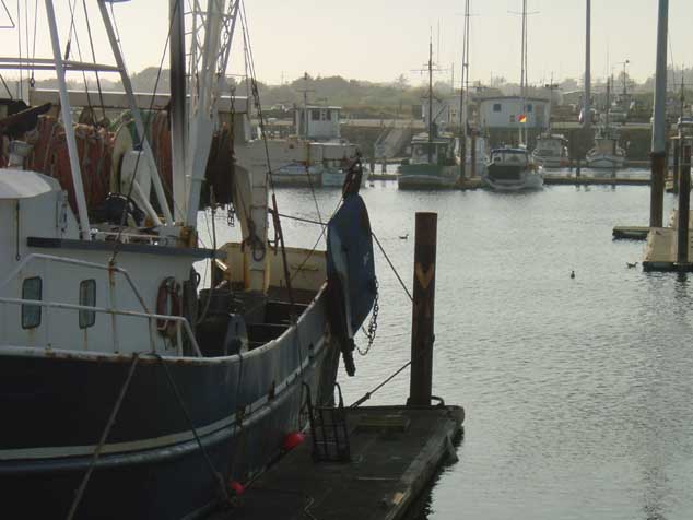 DSC00224 A real industrial fishing harbour... Mais Oui being the only spot of beauty