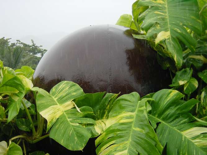 046 A huge cannonball, almost overgrown