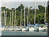 073 The Moorings base - yachts ready to be chartered.JPG